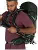 Picture of TALON™ 33 GREEN CANOPY